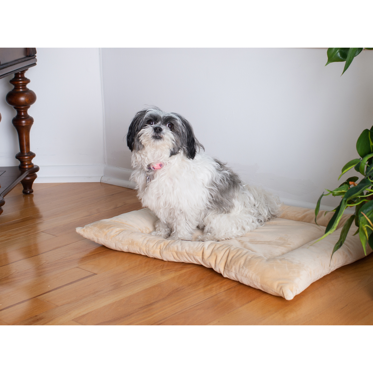 Armarkat Pet Bed Mat, Soft Dog Crate Pad With Poly Fill