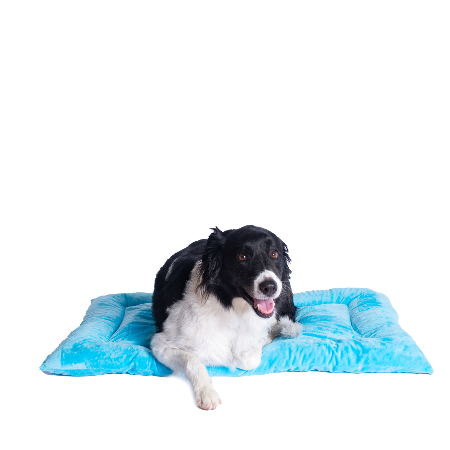 Armarkat Pet Bed Mat, Soft Dog Crate Pad With Poly Fill