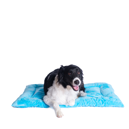 Armarkat Pet Bed Mat, Soft Dog Crate Pad With Poly Fill