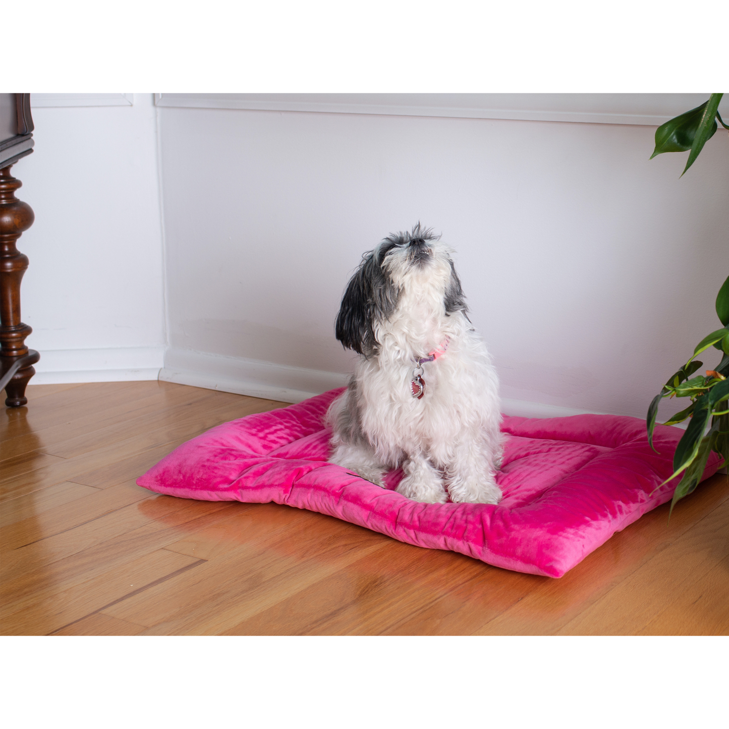 Armarkat Pet Bed Mat, Soft Dog Crate Pad With Poly Fill