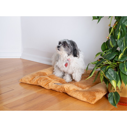 Armarkat Pet Bed Mat, Soft Dog Crate Pad With Poly Fill
