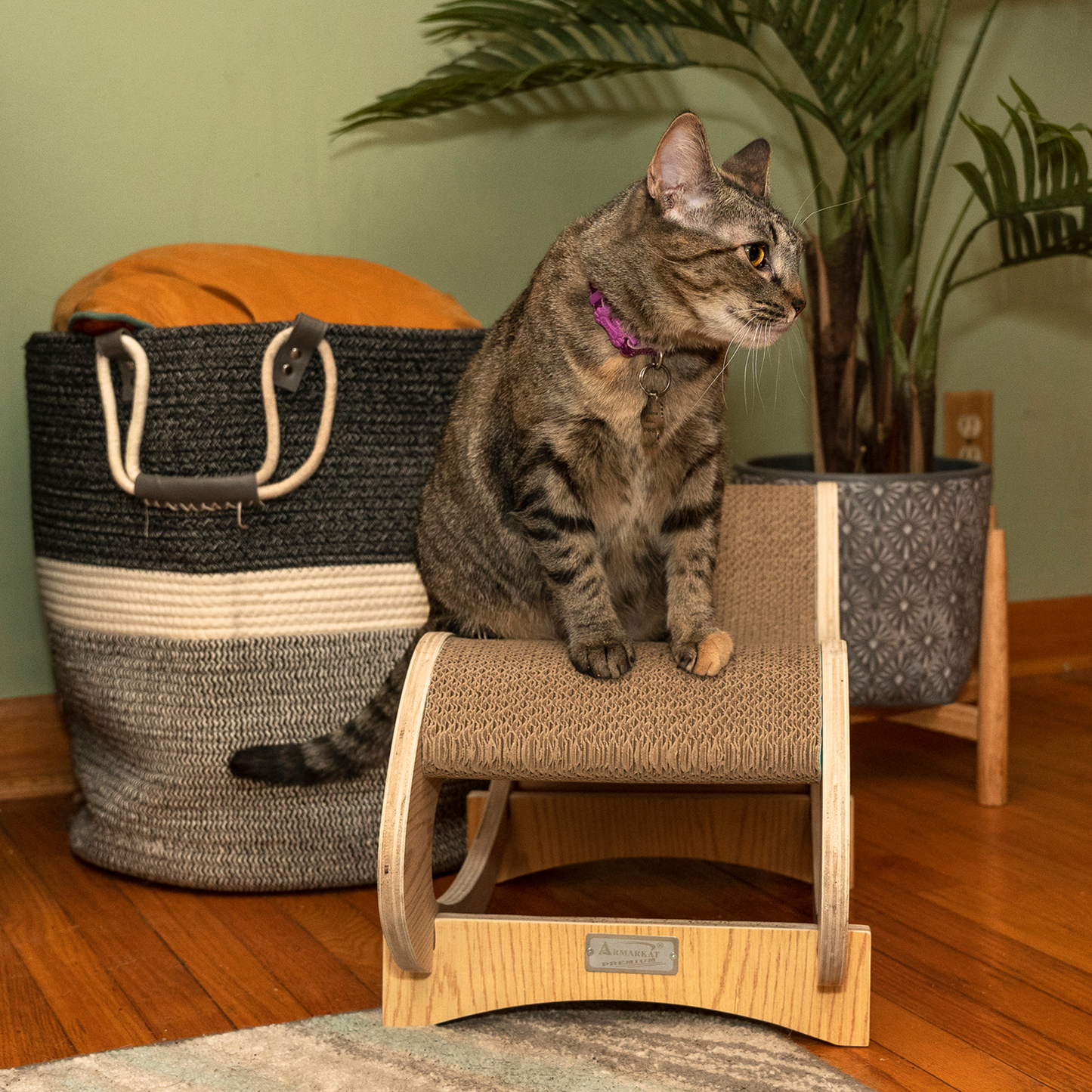 Armarkat detachable cat rocking swing chair