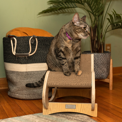 Armarkat detachable cat rocking swing chair