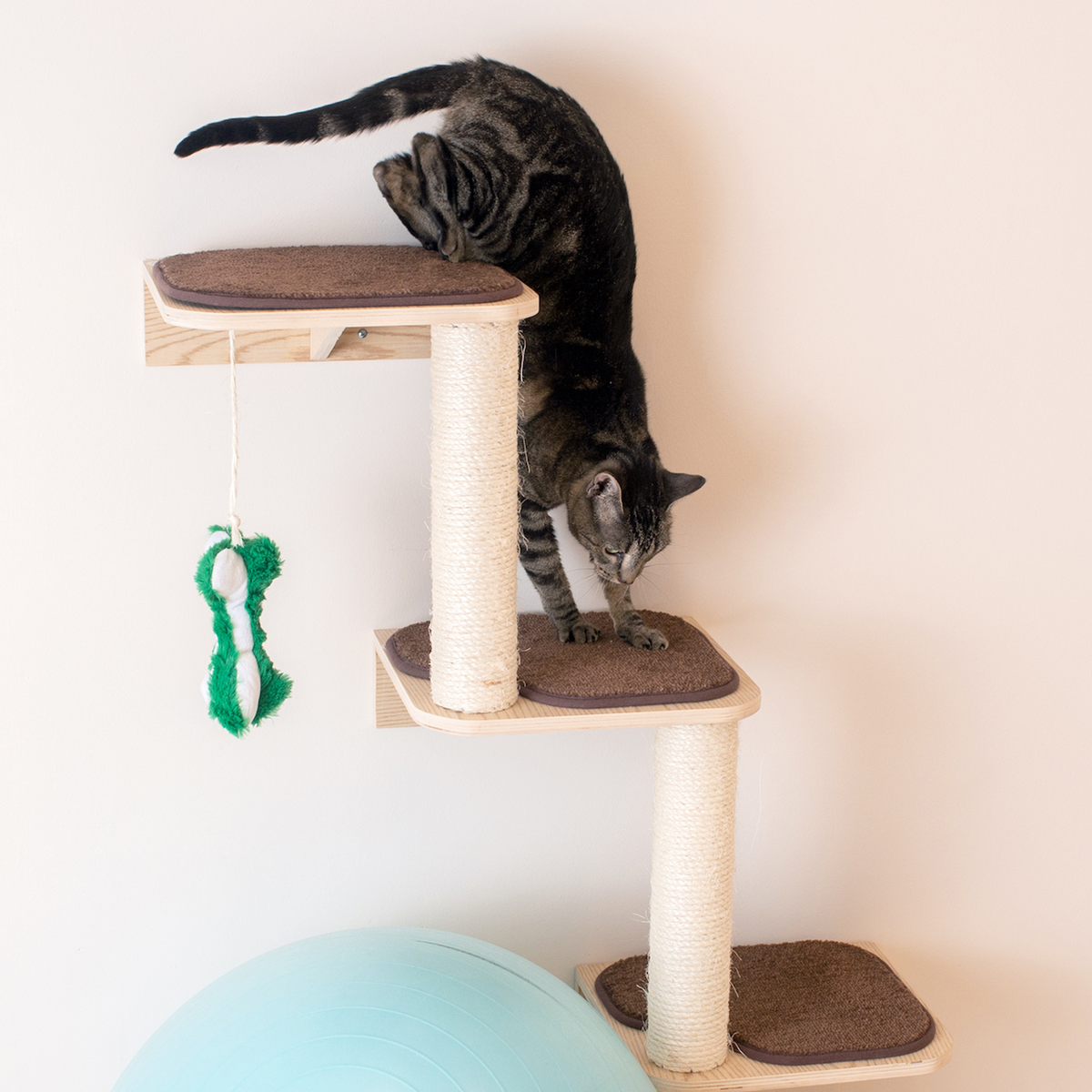 Armarkat wall-mounted cat steps climber