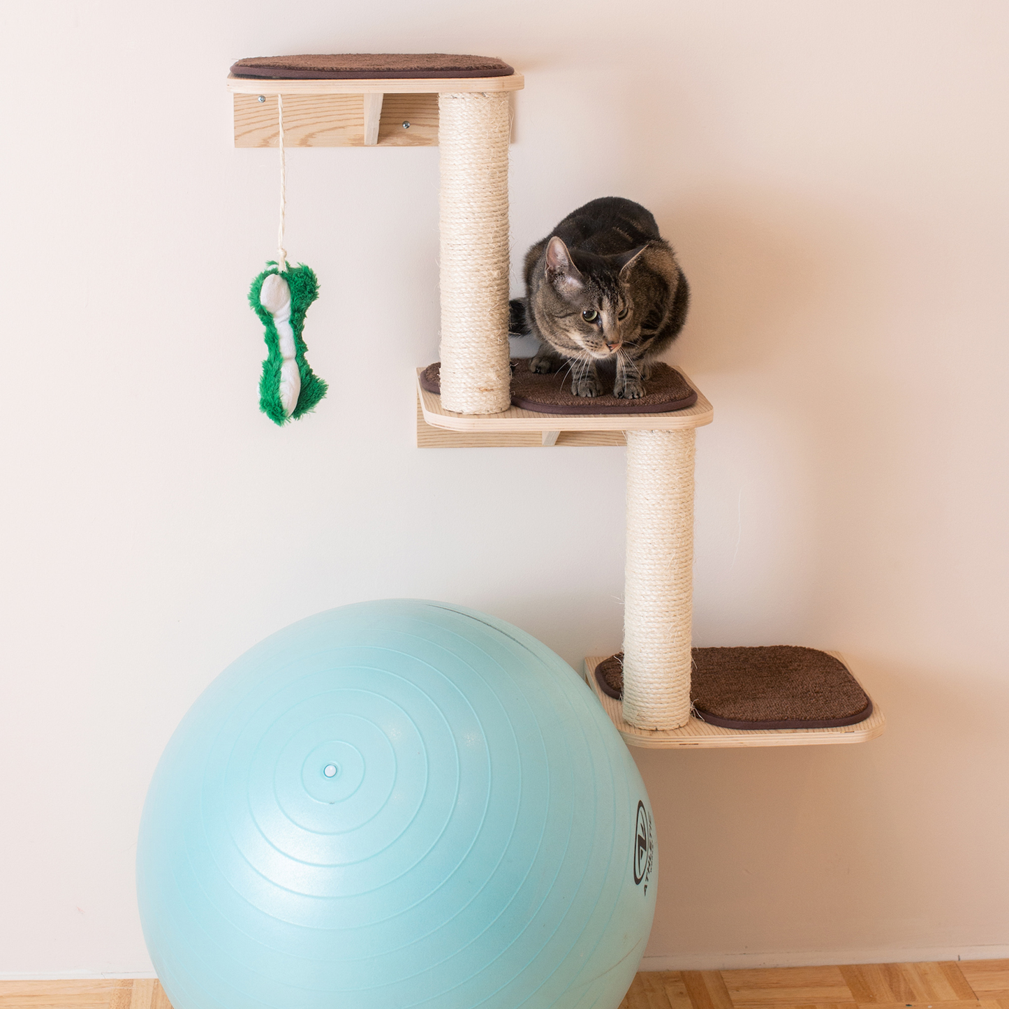 Armarkat wall-mounted cat steps climber