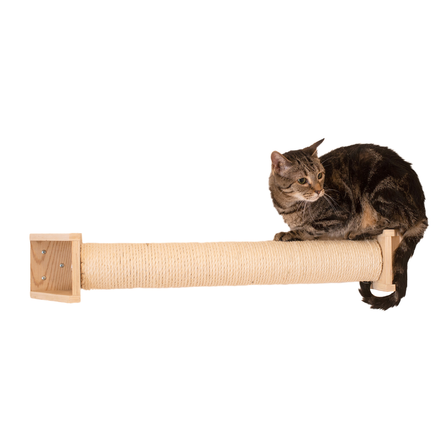 Armarkat wall-mounted cat scratching post