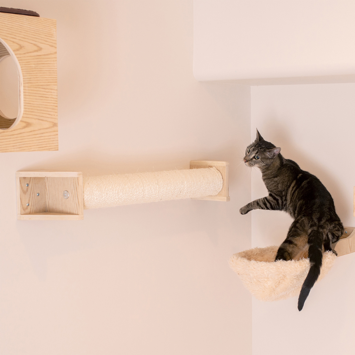 Armarkat wall-mounted cat scratching post