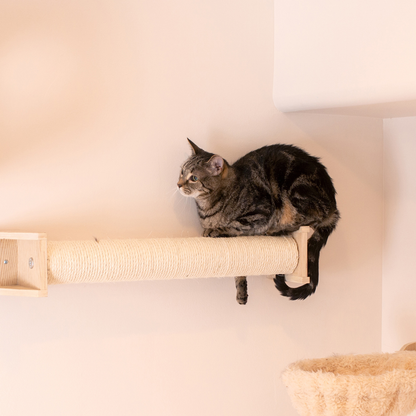 Armarkat wall-mounted cat scratching post