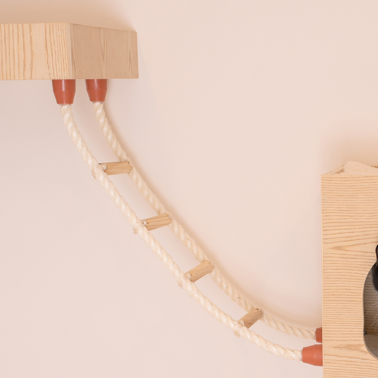 Armarkat wall-mounted cat climbing ladder