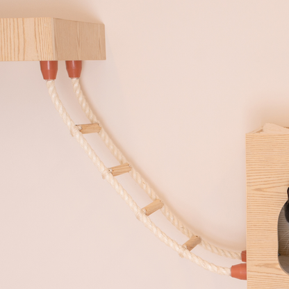 Armarkat wall-mounted cat climbing ladder
