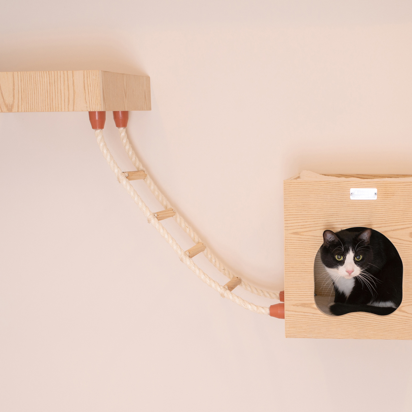 Armarkat wall-mounted cat climbing ladder