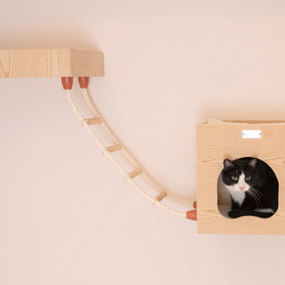 Armarkat wall-mounted cat climbing ladder