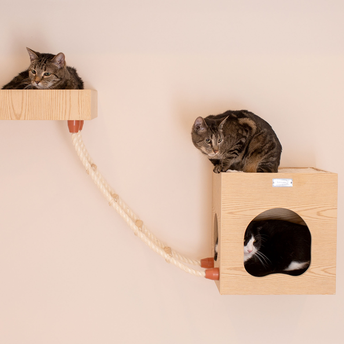 Armarkat wall-mounted cat climbing ladder
