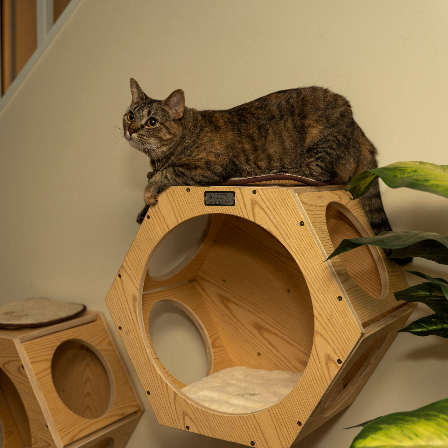 Armarkat Wall Series cat tree additions