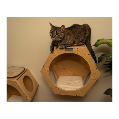 Armarkat Wall Series cat tree additions