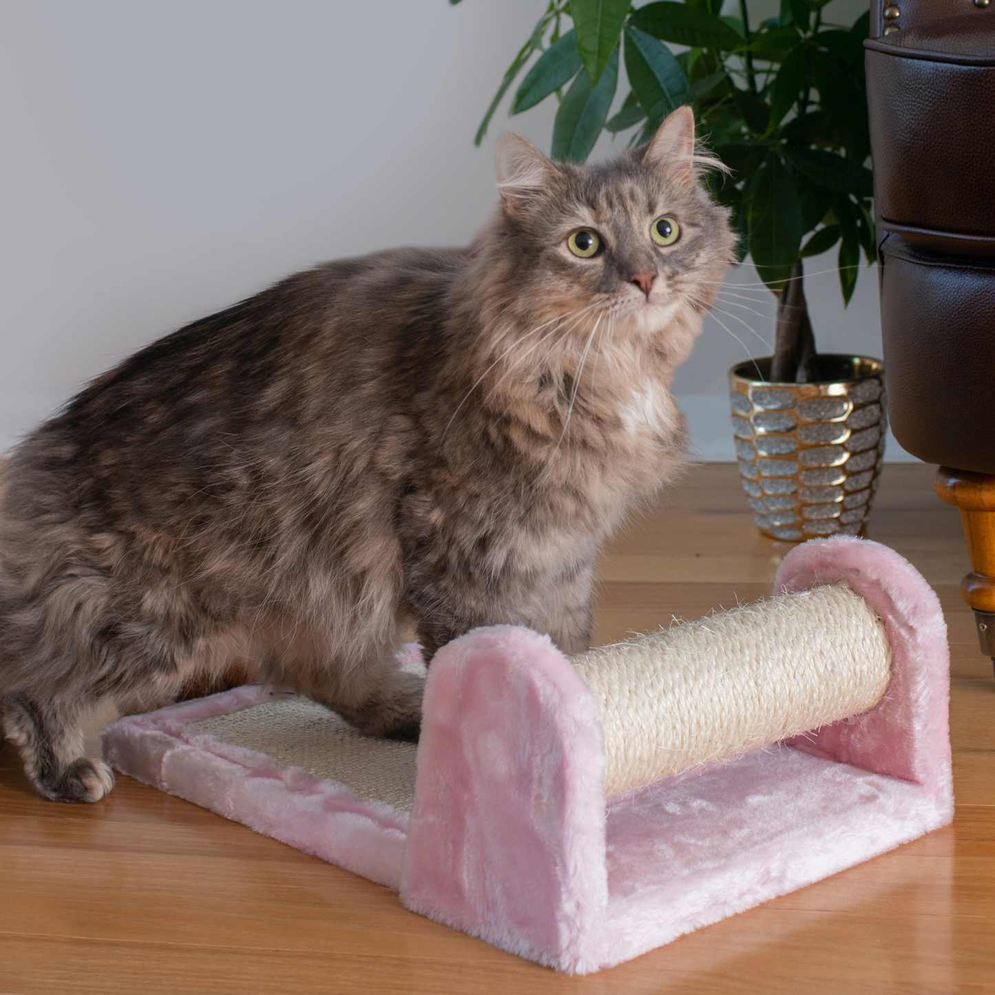 Armarkat Rolling Cat Scratcher Toy, Sisal Board for Cats