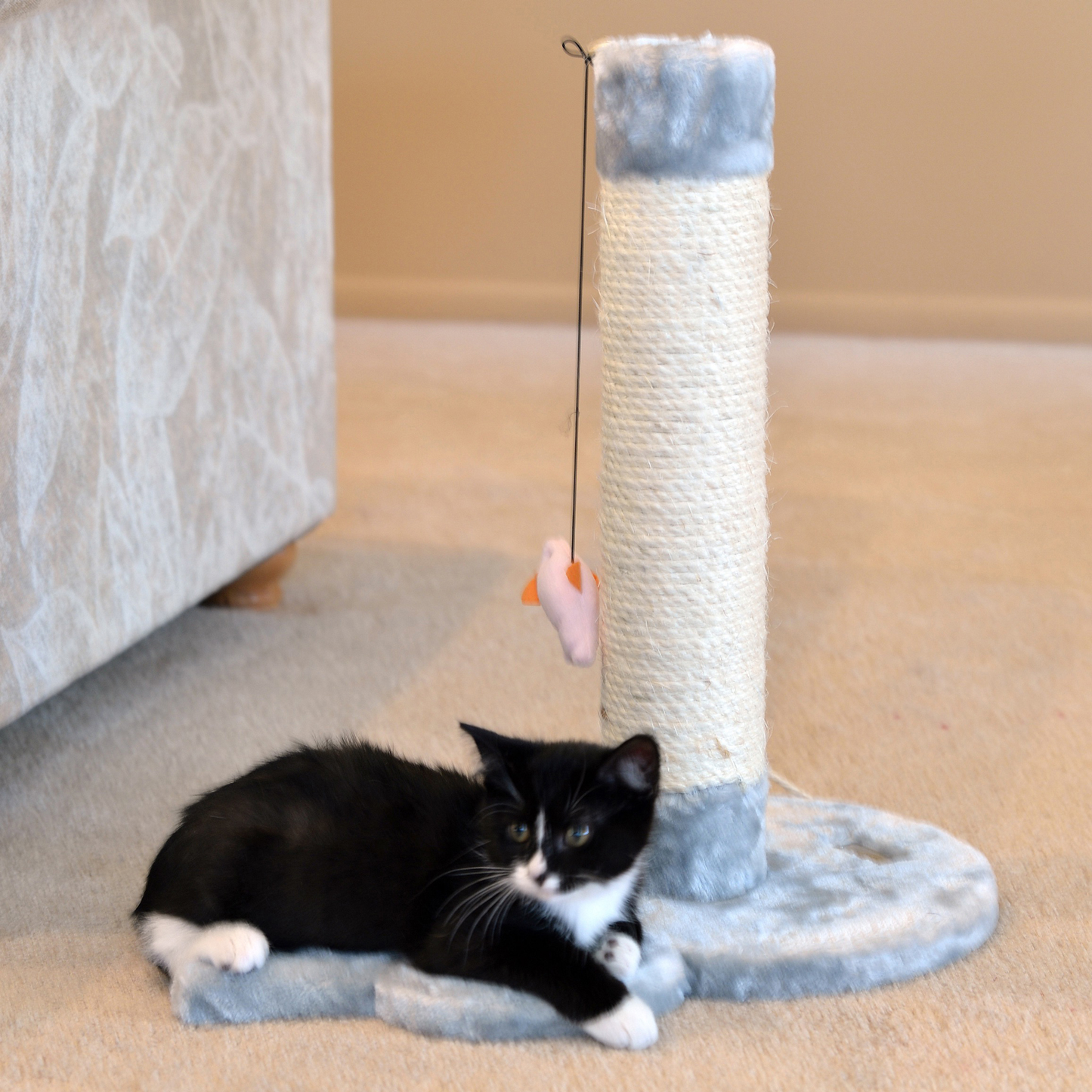 Armarkat Mouse-Shape Cat Scratcher with Rope Toys