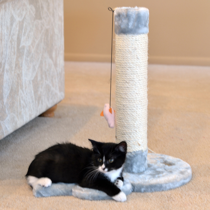 Armarkat Mouse-Shape Cat Scratcher with Rope Toys