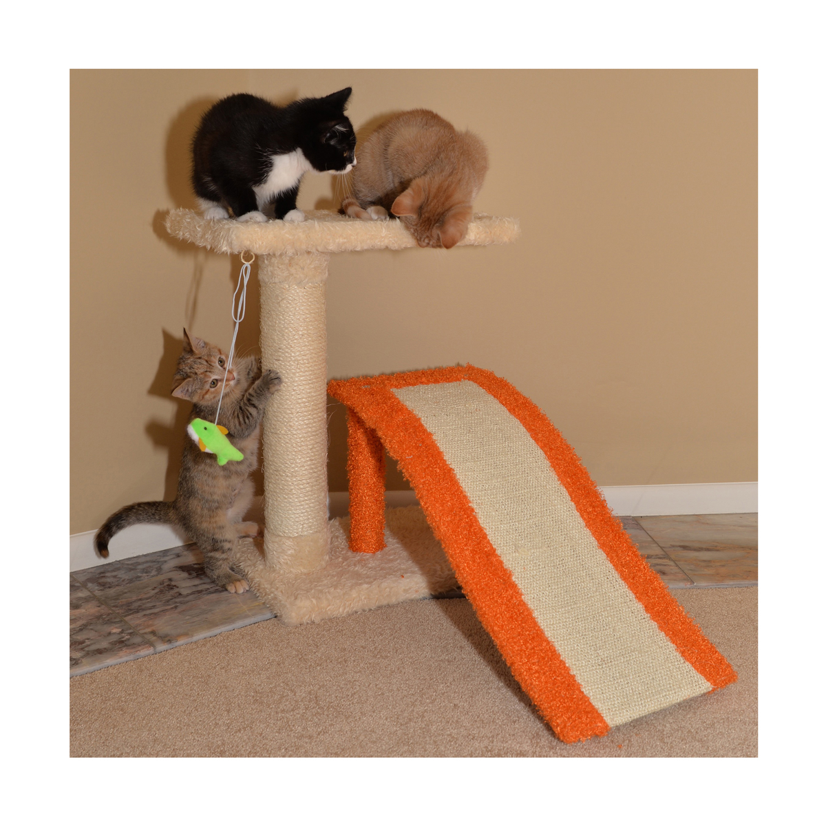 Armarkat Two-Level Platform Scratcher