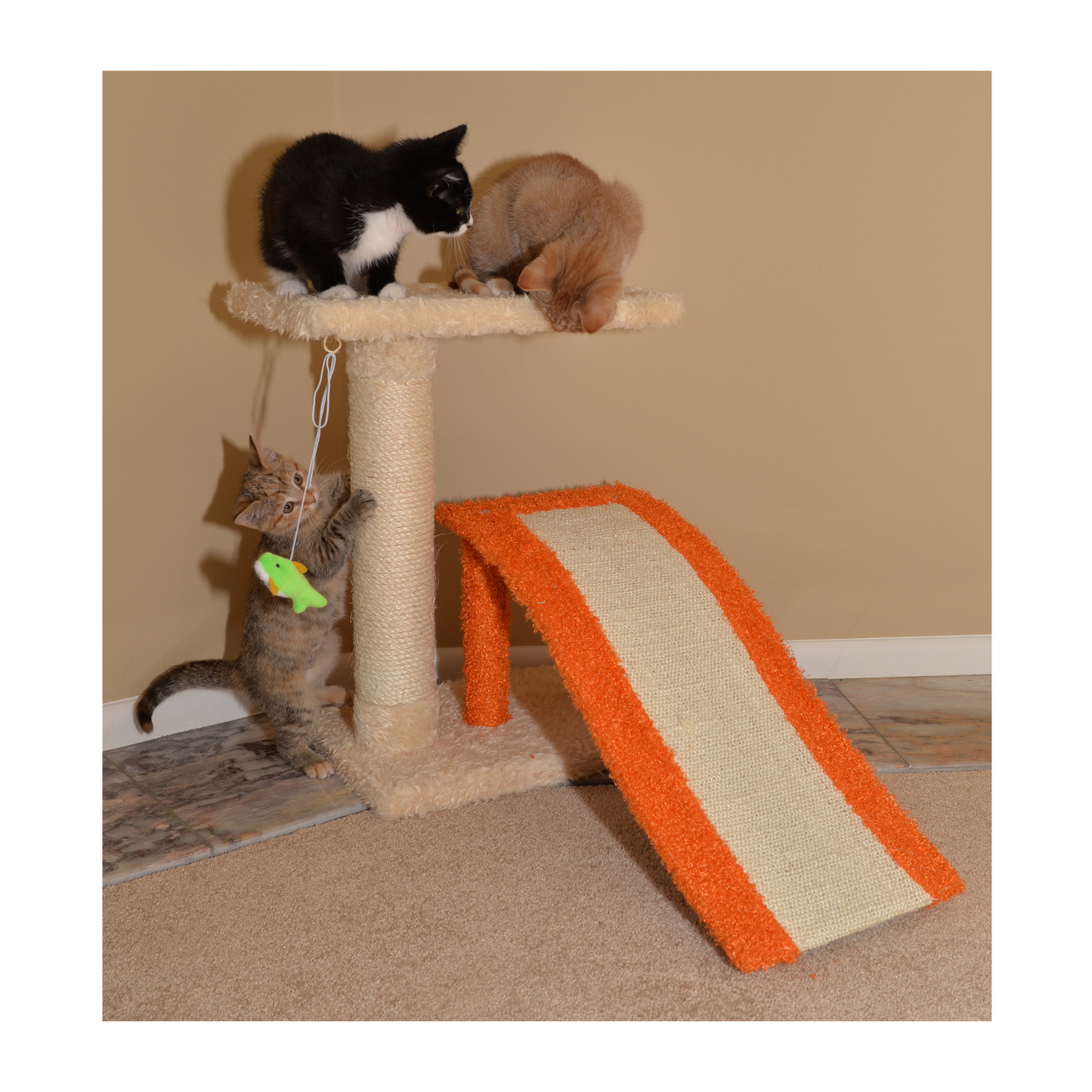 Armarkat Two-Level Platform Scratcher