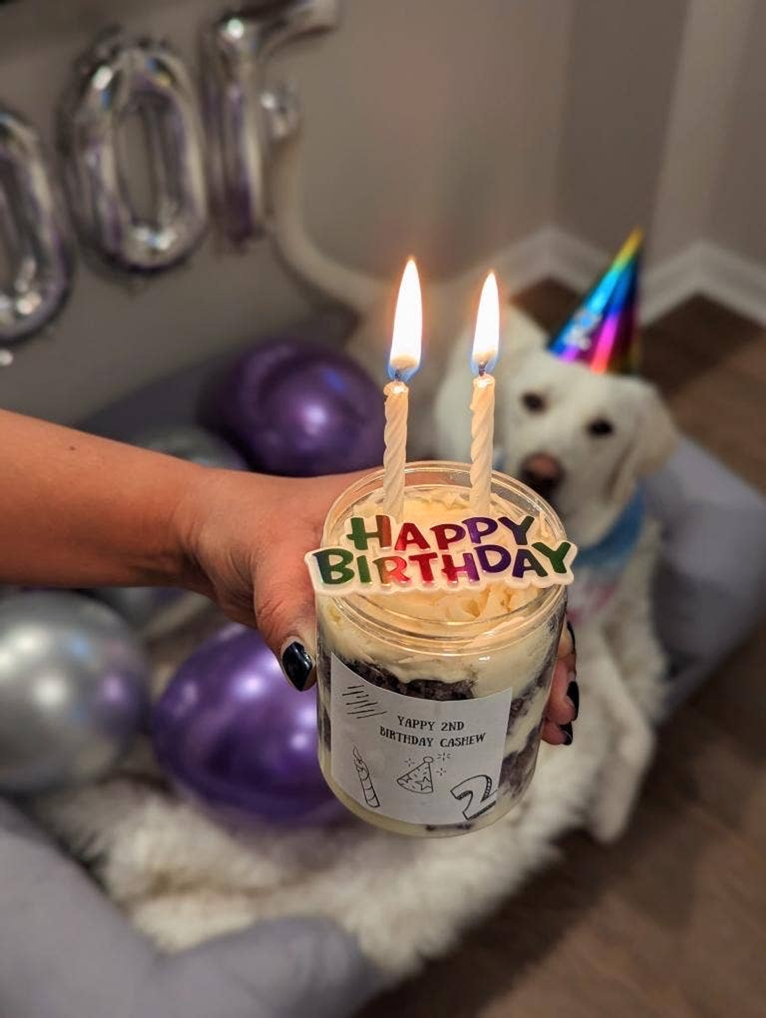 Bow Wow Chews Layered Pawty Cake Jars for Dogs