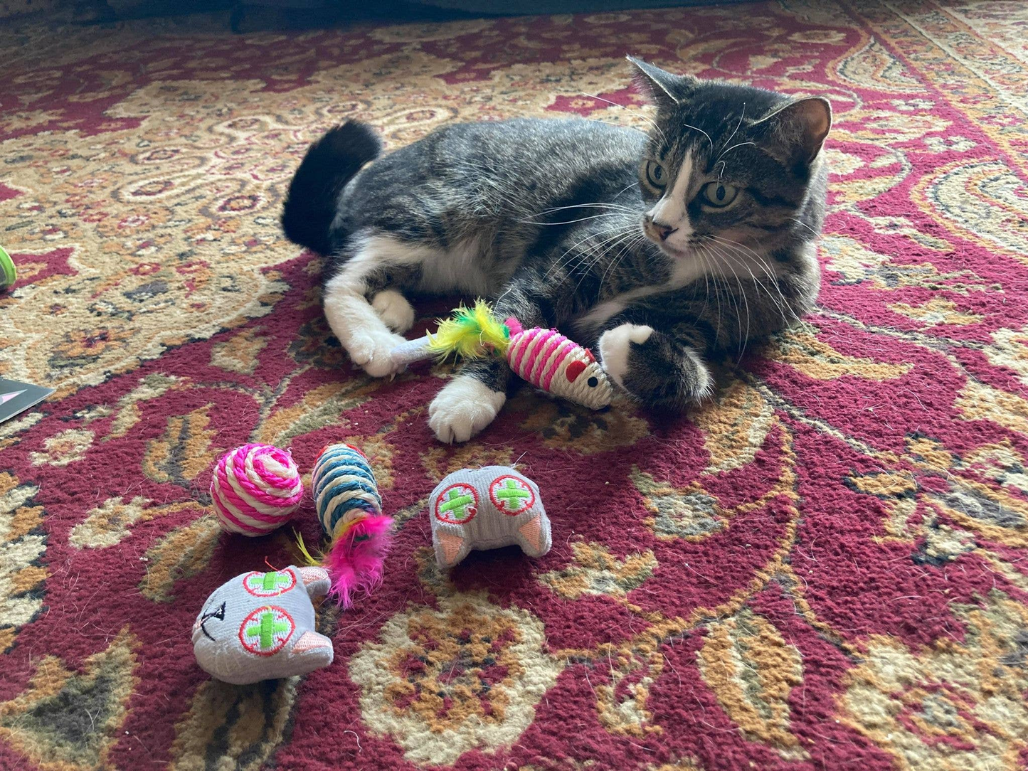 Smokey's Stash Catnip Face Toys & Sisal Mouse Set