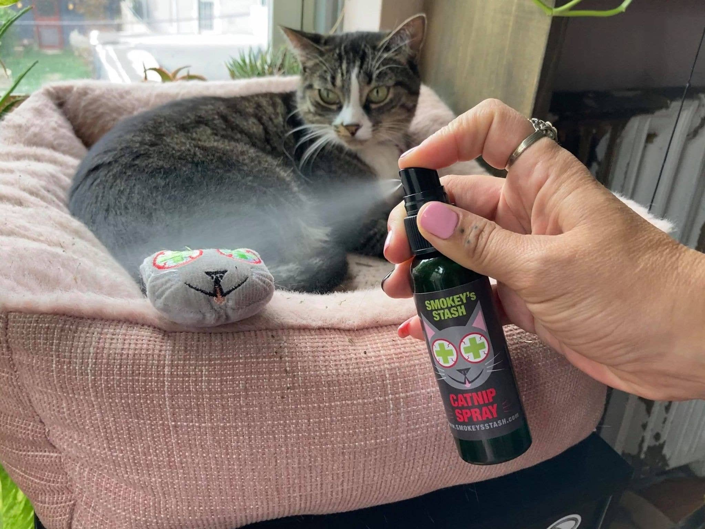 Smokey's Stash Catnip Face Toys & Sisal Mouse Set