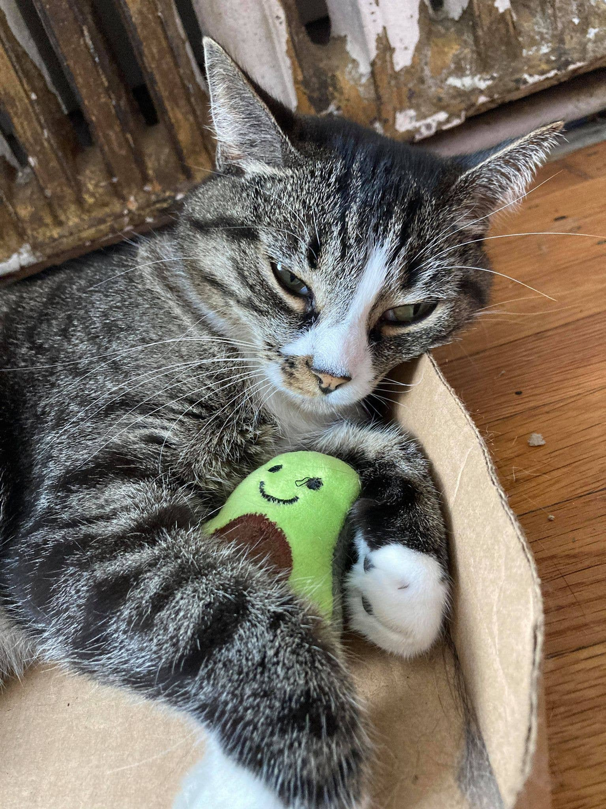 Smokey's Stash Catnip Cat Toys, Avocado & Banana Set