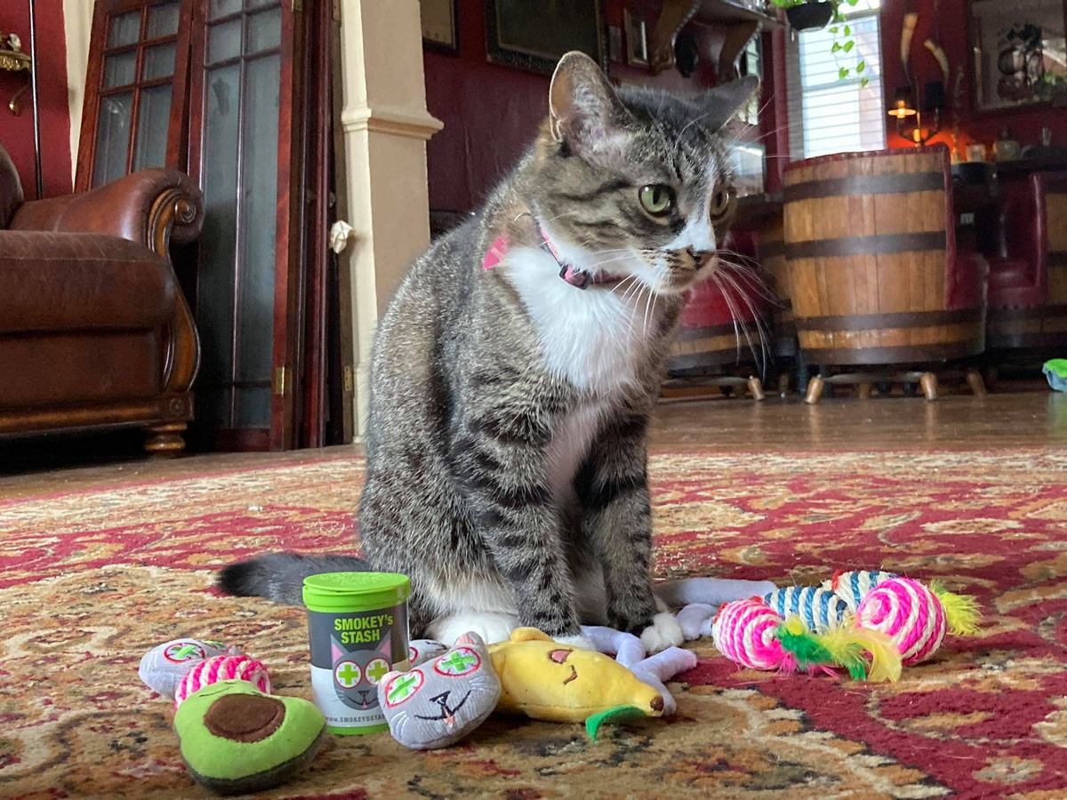 Smokey's Stash Catnip Cat Toys, Avocado & Banana Set