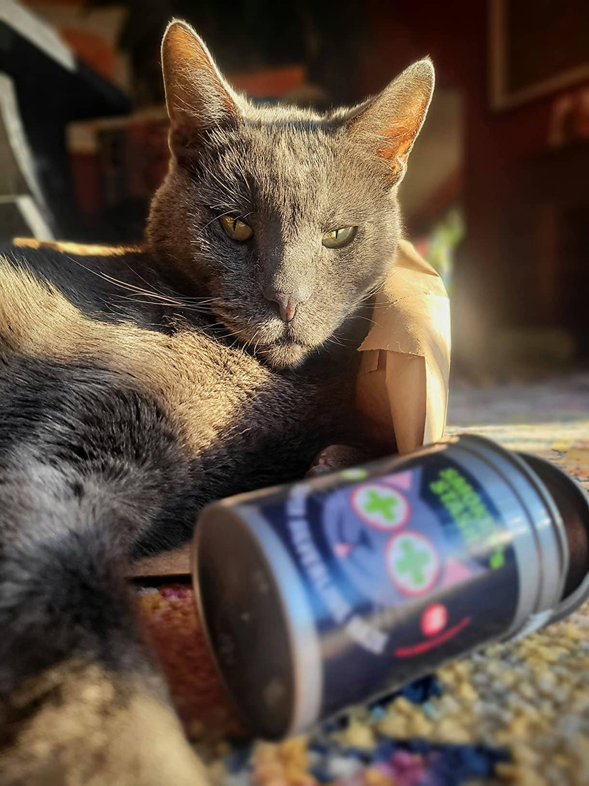 Smokey's Stash Silvervine Haze Catnip & Silver Vine Blend