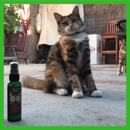 Smokey's Stash Catnip Spray, 2 oz Bottle