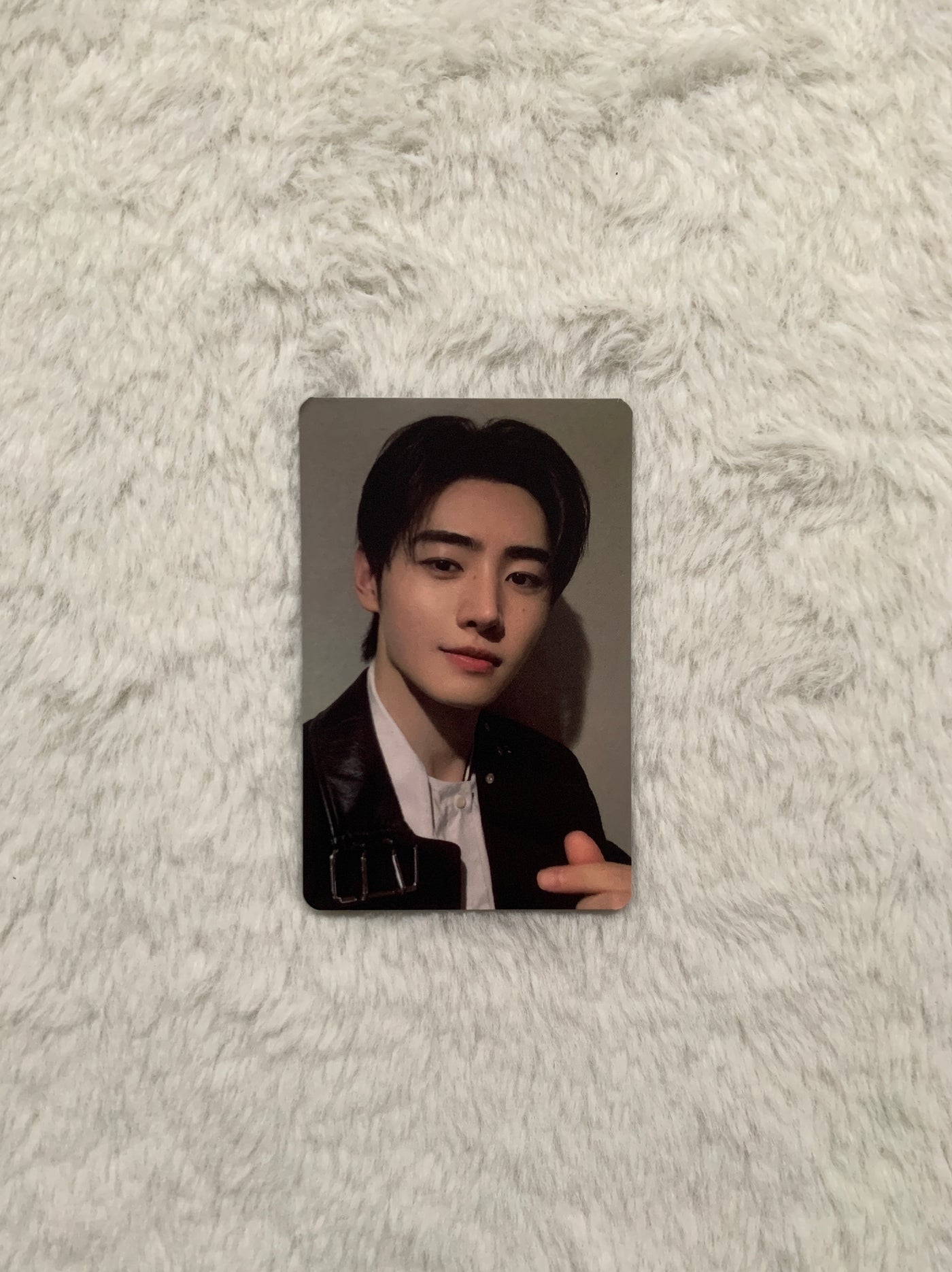Enhypen Member Photo Cards Collection