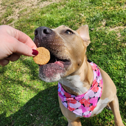 Charlie's Treats Bakery Peanut Butter Dog Cookies