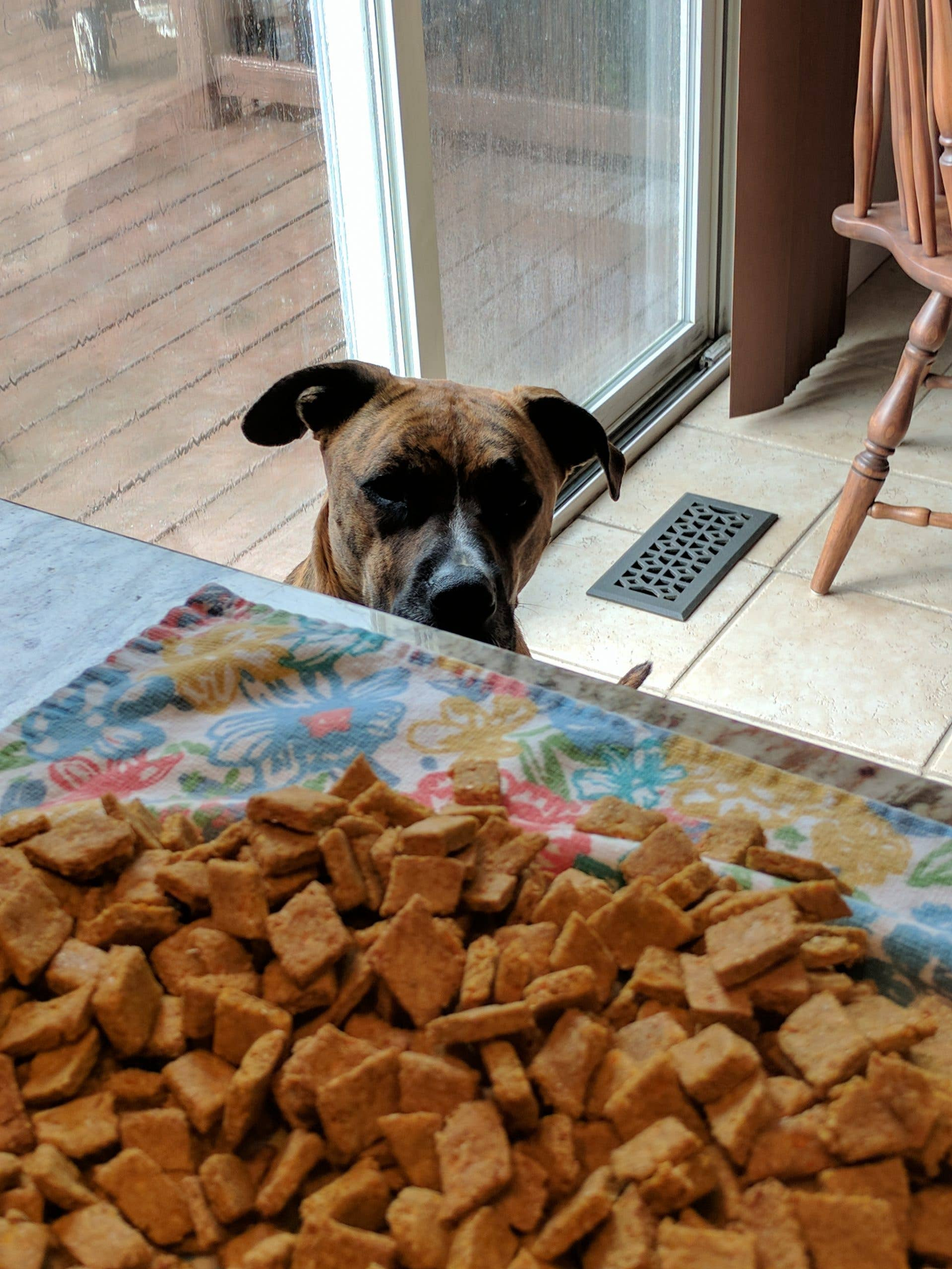 Charlie's Treats Bakery Salmon Snacks Pet Treats