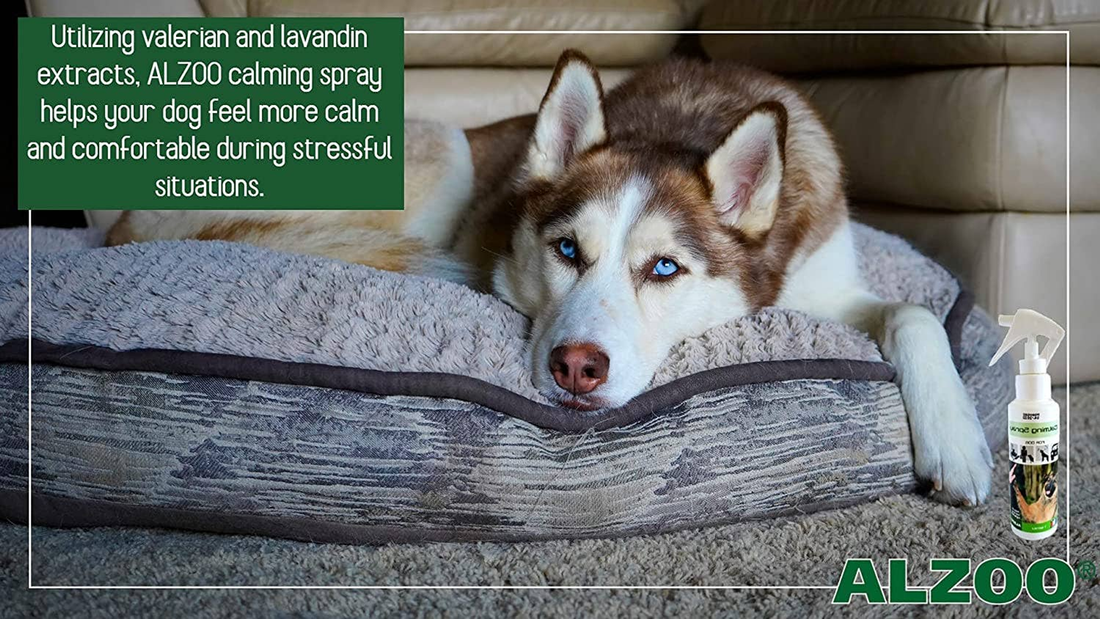 ALZOO Plant-Based Calming Spray for Dogs