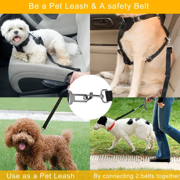 Dog seat belt leash used in a car and as a walking leash