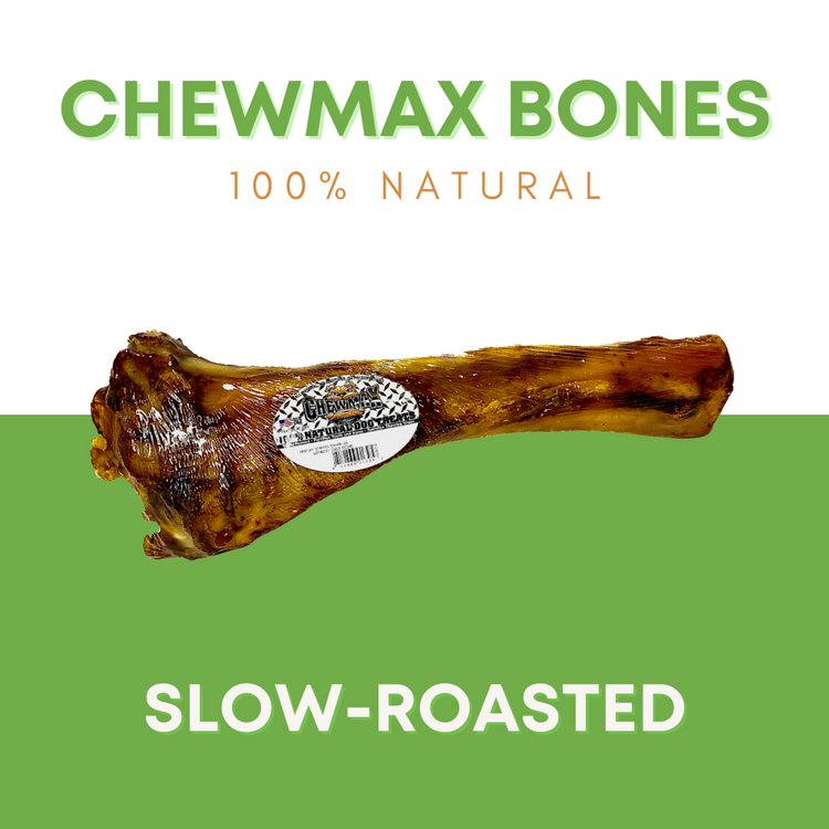 ChewMax Tibia Beef Dog Bone