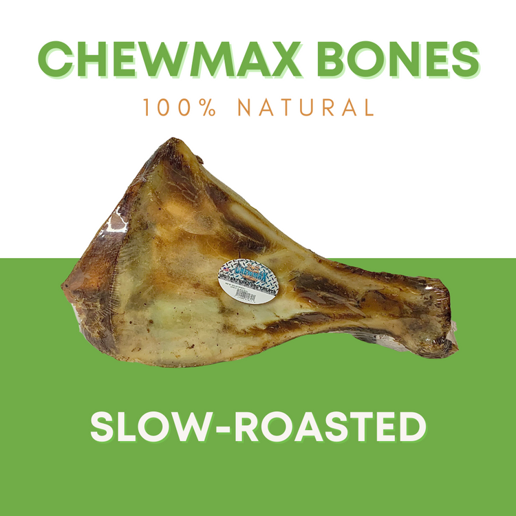 ChewMax Blade Beef Dog Bone