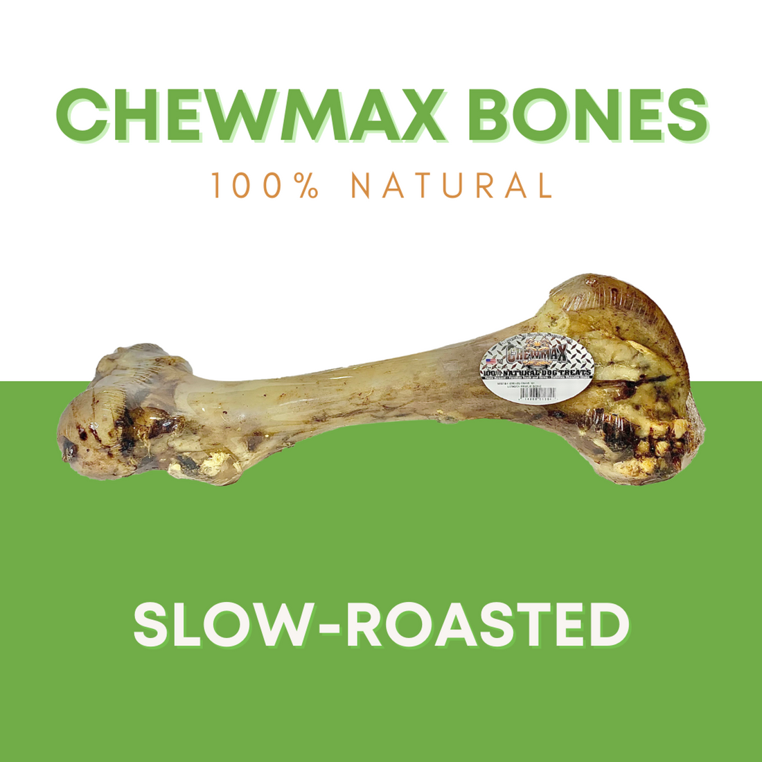 ChewMax Femur Beef Dog Bone