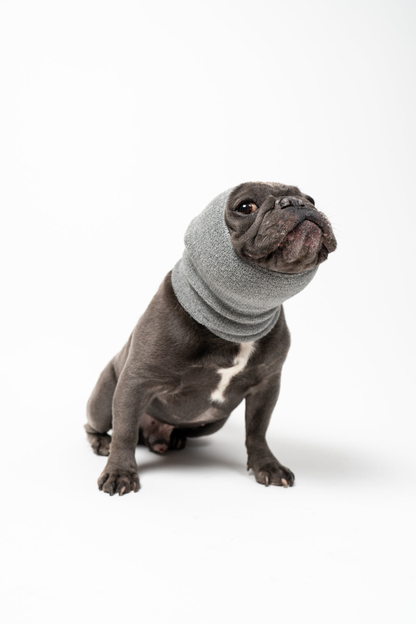 Pet Hoodz Calming Dog Hood