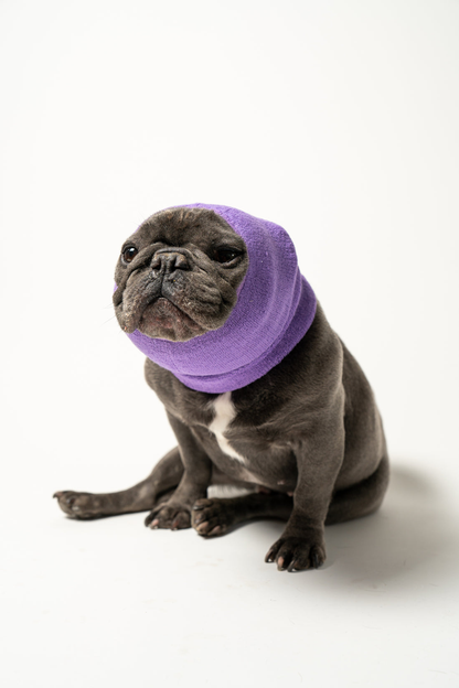 Pet Hoodz Calming Dog Hood