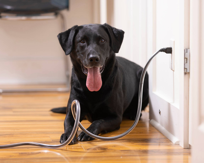 PetCords Heavy Duty 8ft Cord Protector