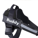 Pet chest and back reflective strip
