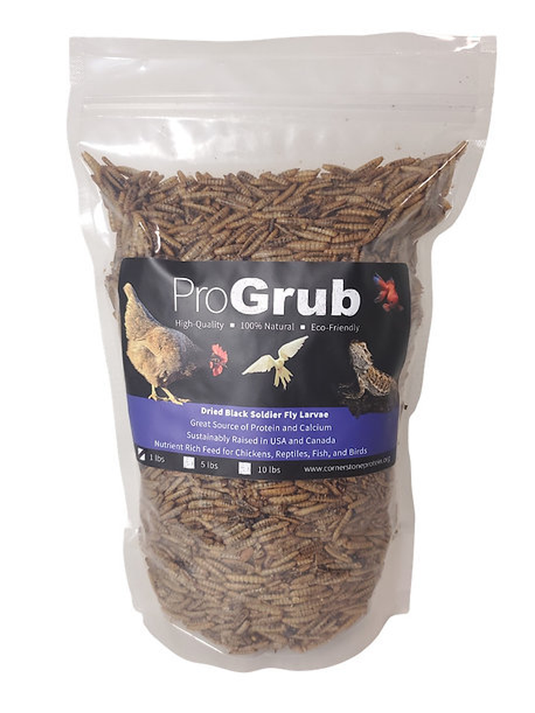 ProGrub Dried Black Soldier Fly Larvae - Poultry Treat