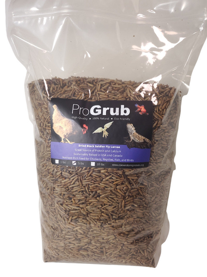ProGrub Dried Black Soldier Fly Larvae - Poultry Treat