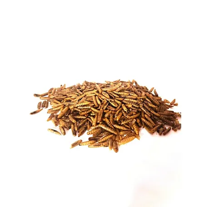 ProGrub Dried Black Soldier Fly Larvae - Poultry Treat