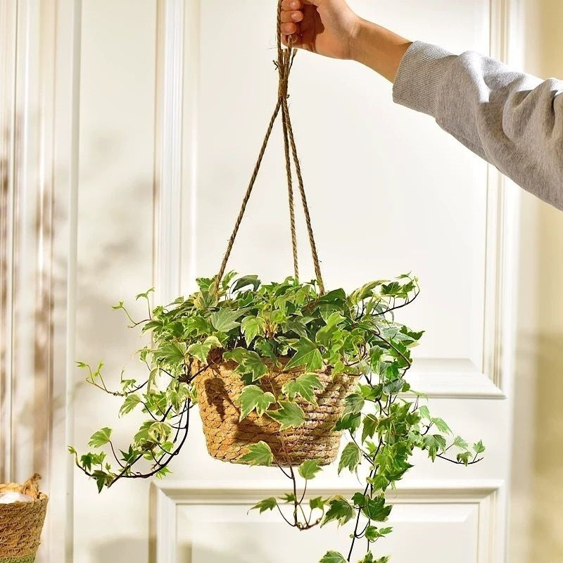 Hand-woven natural vine hanging planter basket with green plants, photo 3