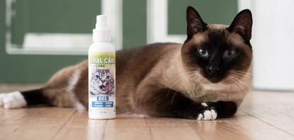 Feline Salmon Oral Care Gel