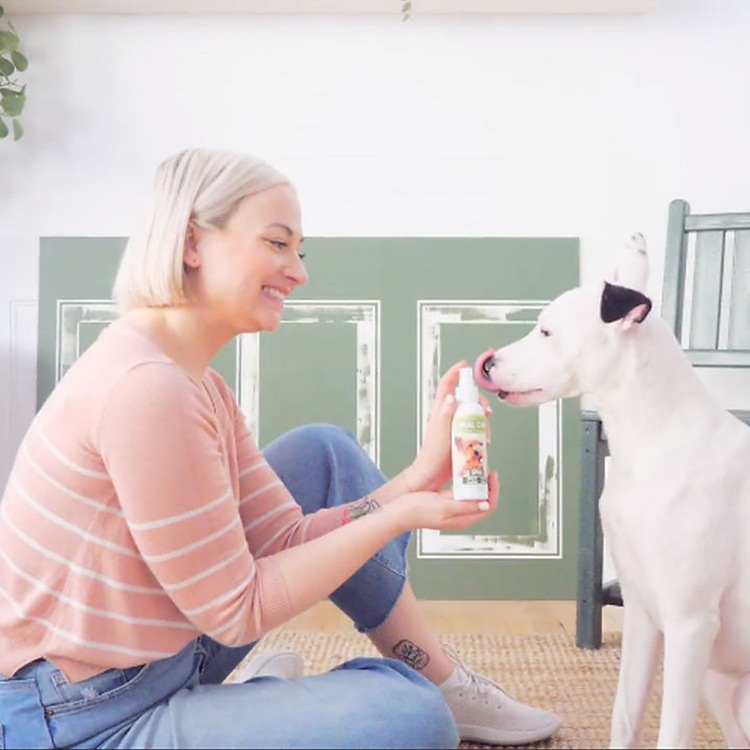 Pet Oral Care Peppermint Spray
