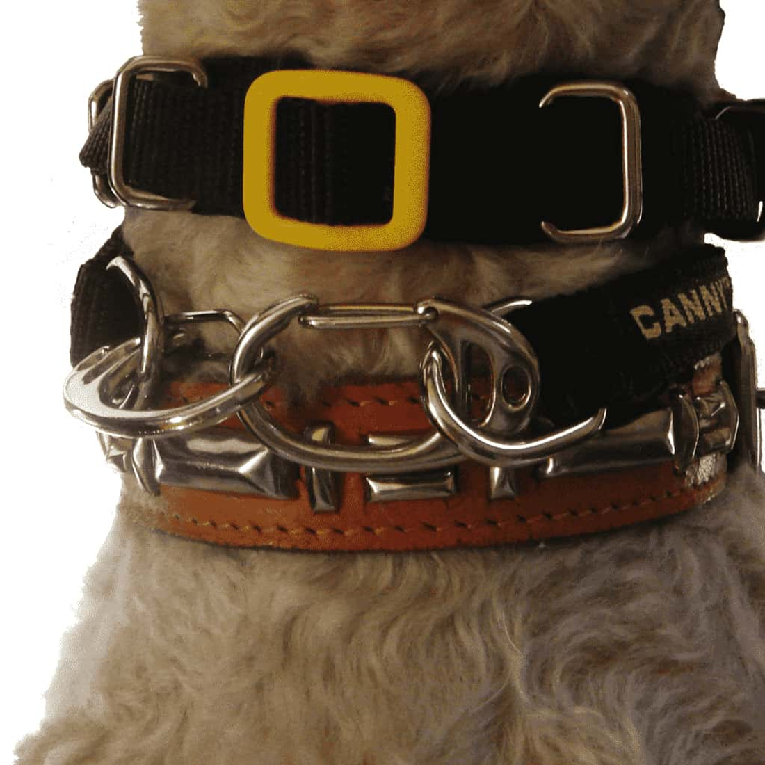 Canny Carabiners for Dog Head Collar, Pack of 2